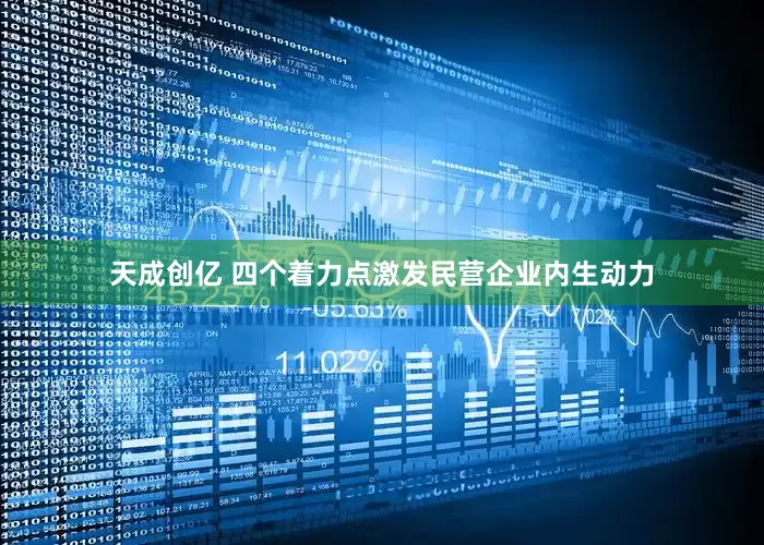 天成创亿 四个着力点激发民营企业内生动力