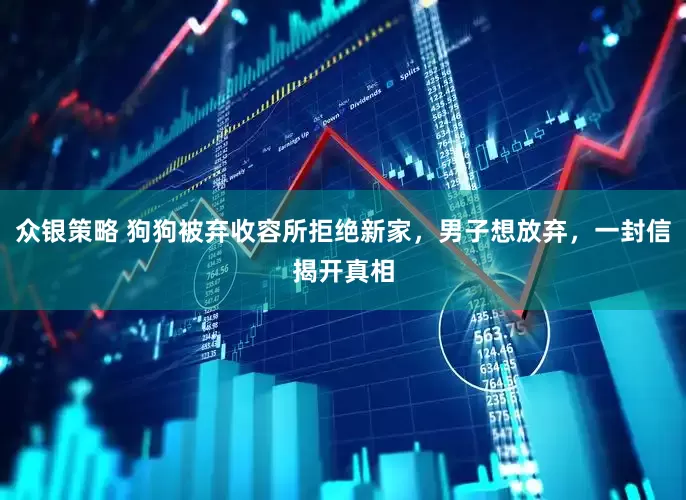 众银策略 狗狗被弃收容所拒绝新家，男子想放弃，一封信揭开真相