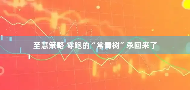 至慧策略 零跑的“常青树”杀回来了