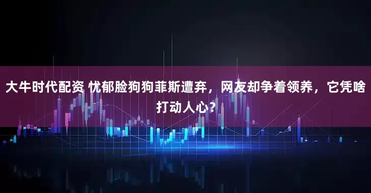 大牛时代配资 忧郁脸狗狗菲斯遭弃，网友却争着领养，它凭啥打动人心？